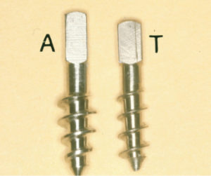 Fig. 4 A destra vite in titanio, a sinistra la corrispettiva in vitallium.