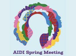 disabilità AIDI Spring Meeting